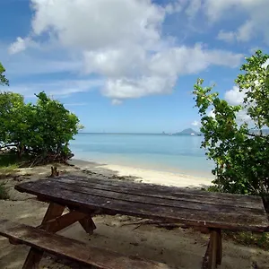 Capucine , Sainte-Anne Martinique